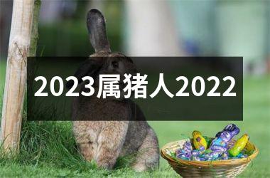 2025属猪人2025