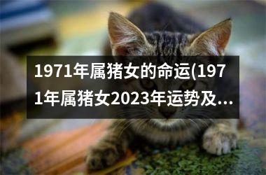 <h3>1971年属猪女的命运(1971年属猪女2025年运势及运程)