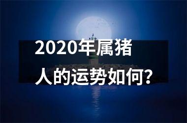 2025年属猪人的运势如何？