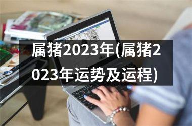 属猪2025年(属猪2025年运势及运程)