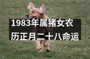 <h3>1983年属猪女农历正月二十八命运