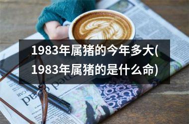 1983年属猪的今年多大(1983年属猪的是什么命)