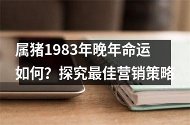 属猪1983年晚年命运如何？探究佳营销策略