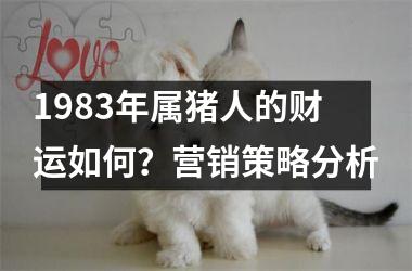 <h3>1983年属猪人的财运如何？营销策略分析