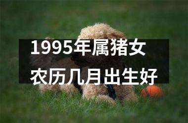 1995年属猪女农历几月出生好