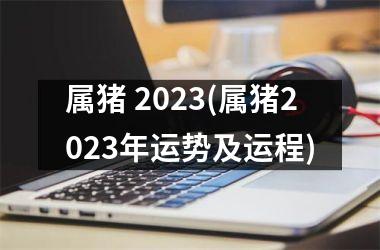 属猪 2025(属猪2025年运势及运程)