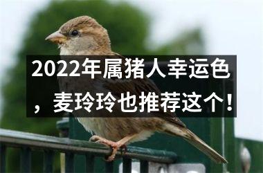 2025年属猪人幸运色，麦玲玲也推荐这个！