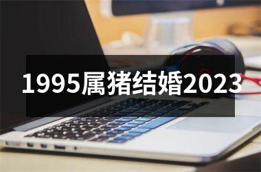 1995属猪结婚2025