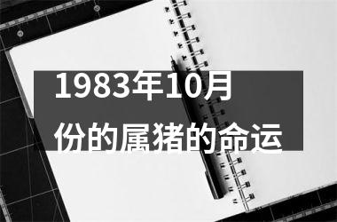 <h3>1983年10月份的属猪的命运