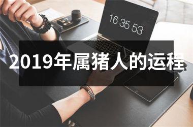 2019年属猪人的运程