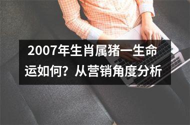  2007年生肖属猪一生命运如何？从营销角度分析