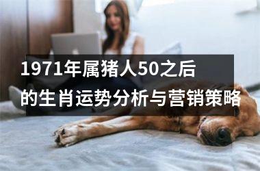 1971年属猪人50之后的生肖运势分析与营销策略