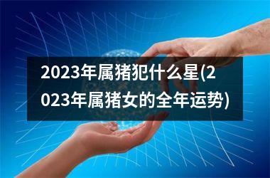 2025年属猪犯什么星(2025年属猪女的全年运势)