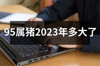 95属猪2025年多大了