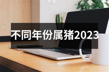 <h3>不同年份属猪2025