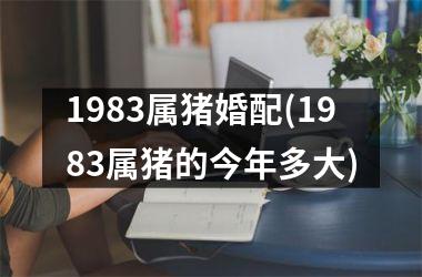 1983属猪婚配(1983属猪的今年多大)