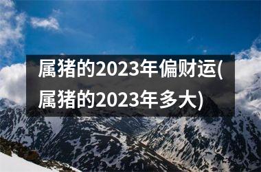 属猪的2025年偏财运(属猪的2025年多大)