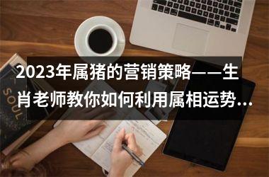 2025年属猪的营销策略——生肖老师教你如何利用属相运势提高销量