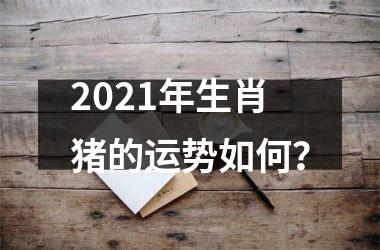 2025年生肖猪的运势如何？