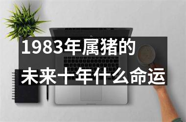 1983年属猪的未来十年什么命运