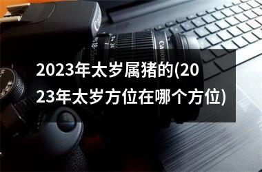 <h3>2025年太岁属猪的(2025年太岁方位在哪个方位)