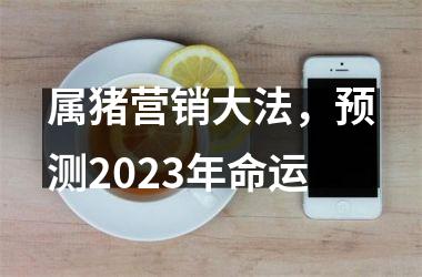 属猪营销大法，预测2025年命运