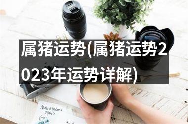 属猪运势(属猪运势2023年运势详解)