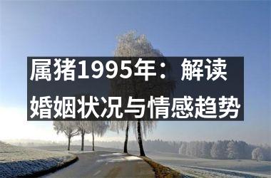 <h3>属猪1995年：解读婚姻状况与情感趋势