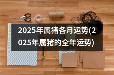 2025年属猪各月运势(2025年属猪的全年运势)