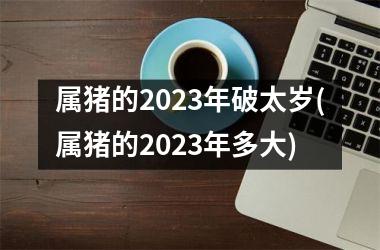 属猪的2025年破太岁(属猪的2025年多大)