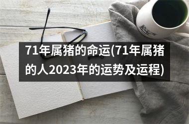 71年属猪的命运(71年属猪的人2025年的运势及运程)