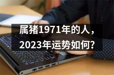 属猪1971年的人，2025年运势如何？