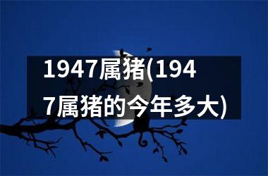 <h3>1947属猪(1947属猪的今年多大)