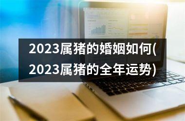 2025属猪的婚姻如何(2025属猪的全年运势)