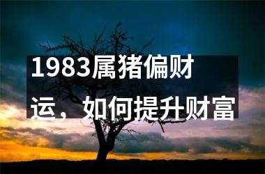 <h3>1983属猪偏财运，如何提升财富