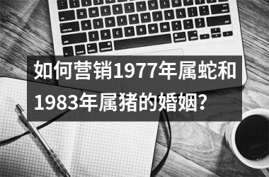 <h3>如何营销1977年属蛇和1983年属猪的婚姻？