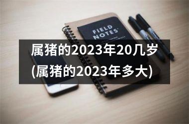 属猪的2025年20几岁(属猪的2025年多大)