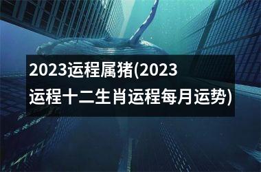 2025运程属猪(2025运程十二生肖运程每月运势)