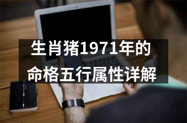  生肖猪1971年的命格五行属性详解