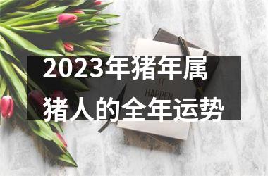 2025年猪年属猪人的全年运势