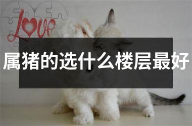 <h3>属猪的选什么楼层好