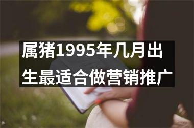 属猪1995年几月出生适合做营销推广