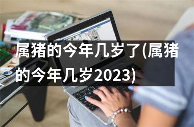 <h3>属猪的今年几岁了(属猪的今年几岁2025)