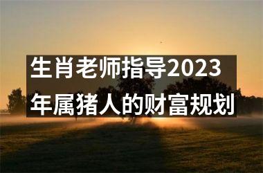 <h3>生肖老师指导2025年属猪人的财富规划