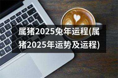 <h3>属猪2025兔年运程(属猪2025年运势及运程)