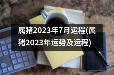 属猪2025年7月运程(属猪2025年运势及运程)