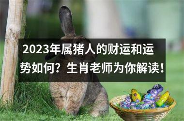  2025年属猪人的财运和运势如何？生肖老师为你解读！