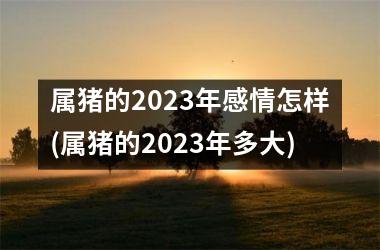 属猪的2025年感情怎样(属猪的2025年多大)