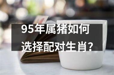 <h3>95年属猪如何选择配对生肖？