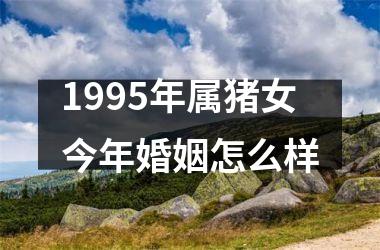 1995年属猪女今年婚姻怎么样